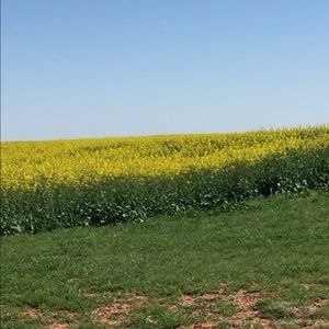 Meet your Posher, Sherri