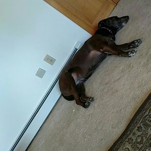 Meet your Posher, Lisa