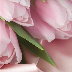 Meet your Posher, Annie