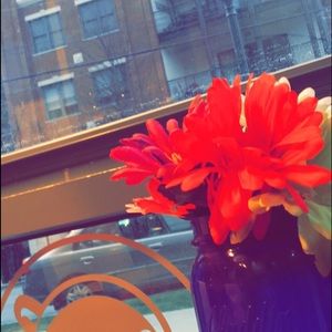 Meet your Posher, Emma