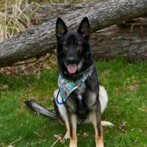 Meet your Posher, Shannon moore