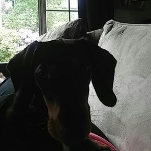 Meet your Posher, Mikenzie