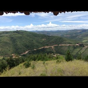 Meet your Posher, Grace