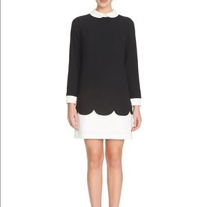 NWOT! Back crepe dress with scallop hem