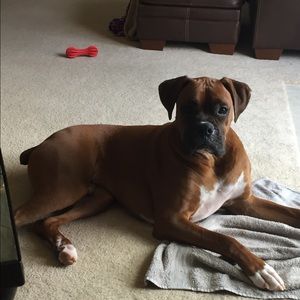 Meet your Posher, Brooke