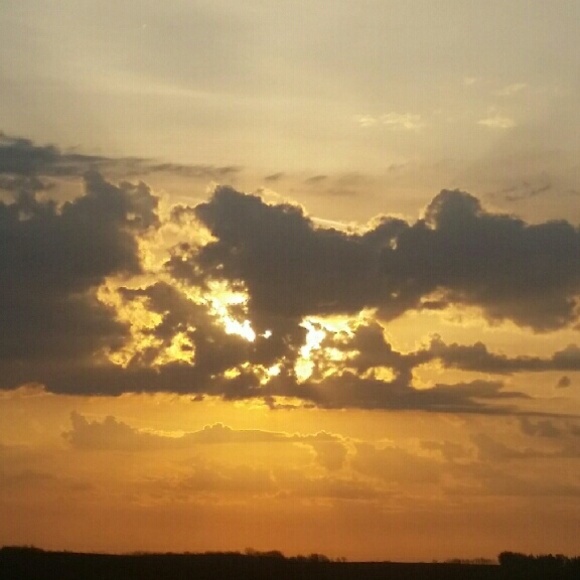 Meet your Posher, Shelly - Picture 2 of 2