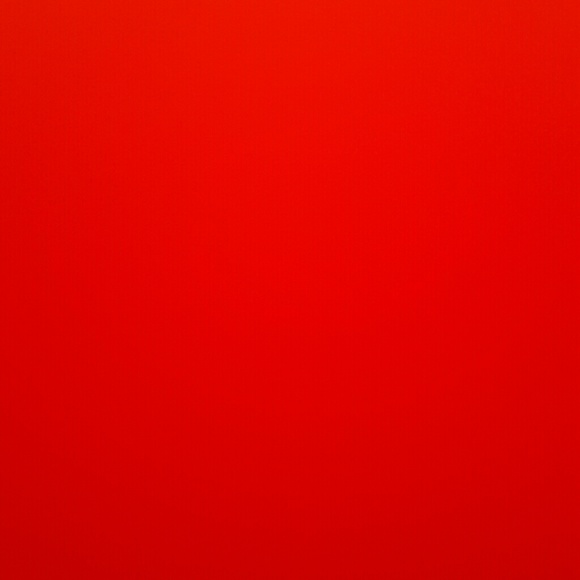 Meet your Posher, Quinndolynn - Picture 1 of 1