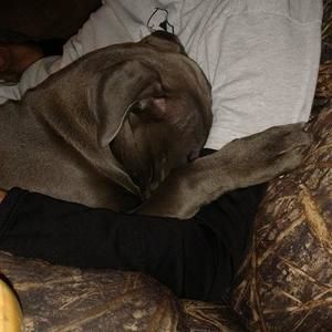 Meet your Posher, Trisha