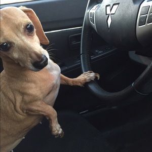 Meet your Posher, Laura