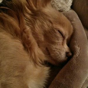 Meet your Posher, Samantha