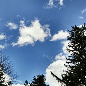 Meet your Posher, Penny