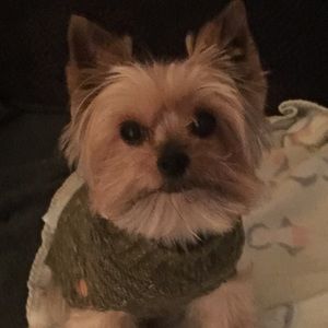 Meet your Posher, Alex