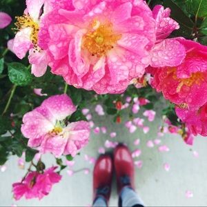 Meet your Posher, Avery