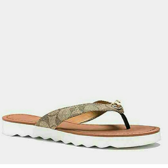 Shelly Sandal