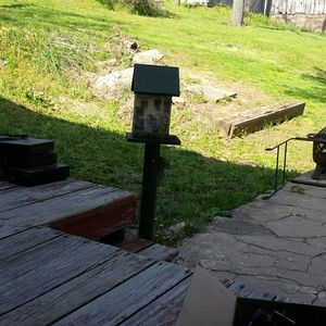 Meet your Posher, Lyn