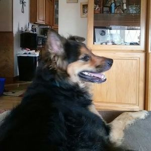 Meet your Posher, Coreen