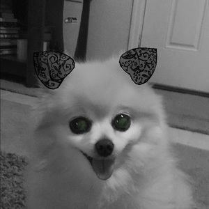 Meet your Posher, Aracely