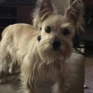 Meet your Posher, Tammy