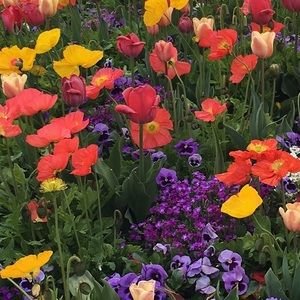 Meet your Posher, Erin