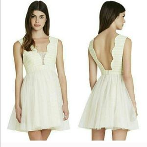BCBG dress New with tags!