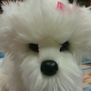 Meet your Posher, Toni