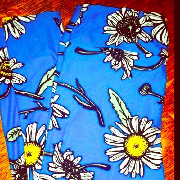 TC LuLaRoe Daisy Leggings New