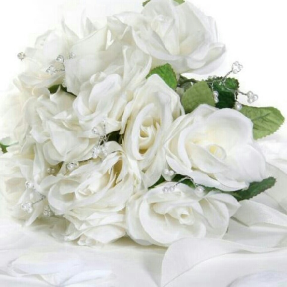 Meet your Posher, Jazmin - Picture 1 of 1