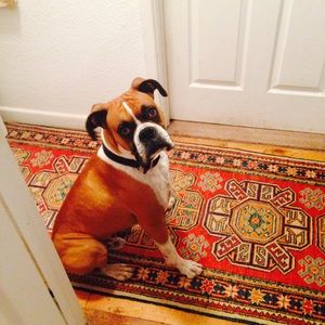 Meet your Posher, Wendy