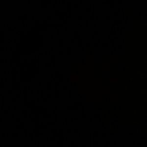 Meet your Posher, Donovan