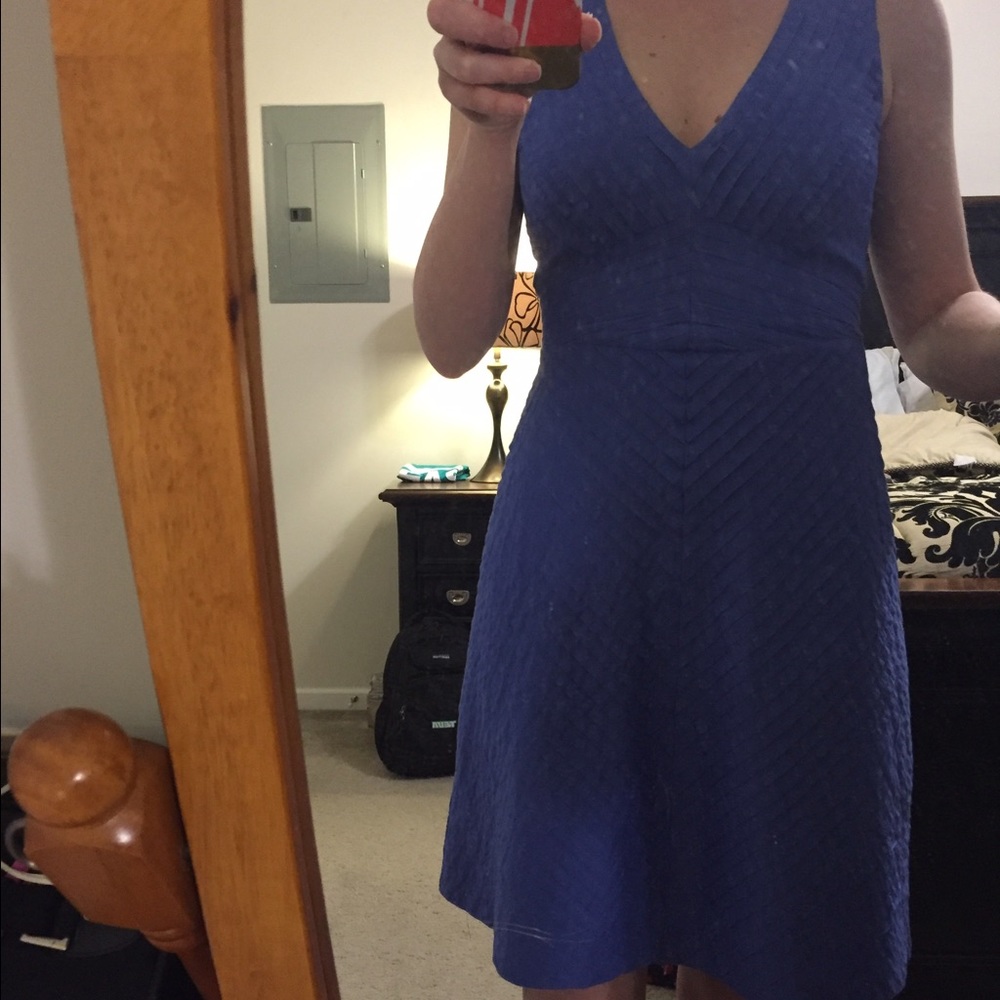 J. Crew Fit and flare Dress NWT - Picture 2 of 4
