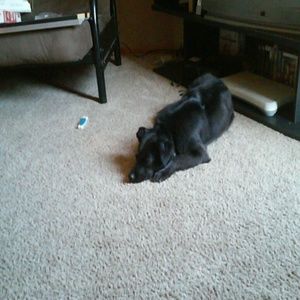 Meet your Posher, Theresa