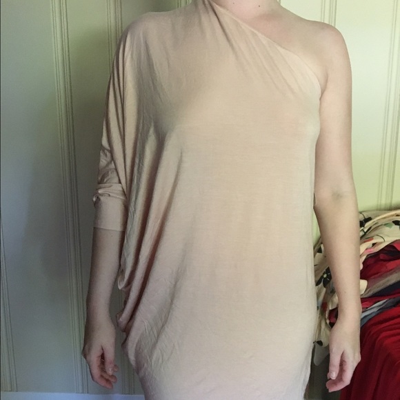 Rachel pally nude dress nwt xs