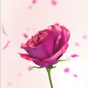 Love the clothing. Love the personalities!