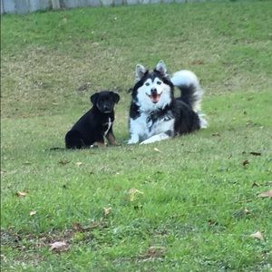 Meet your Posher, Melissa