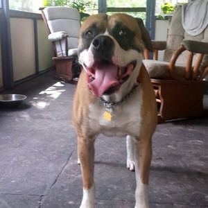 Meet your Posher, Tiffany