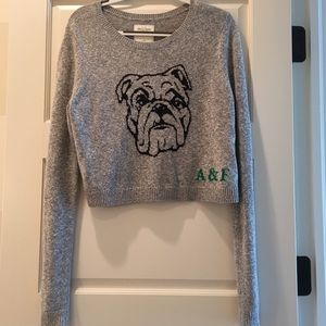 Abercrombie & Fitch cropped bulldog sweater