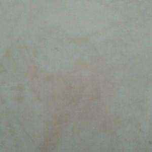 Meet your Posher, Haydee