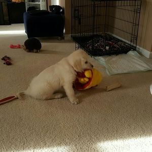 Meet your Posher, Tammy