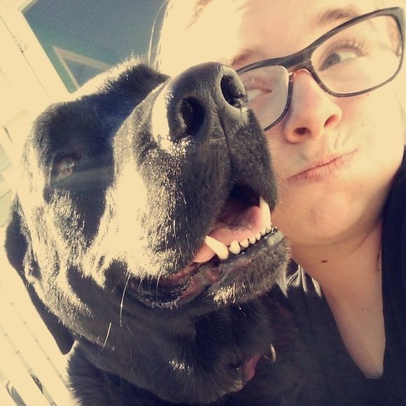 Meet your Posher, Sydney - Picture 1 of 1