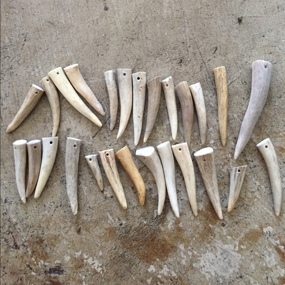 Naturally shed antler necklace - Picture 4 of 4