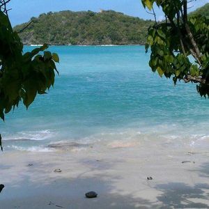 Meet your Posher, Anna lee