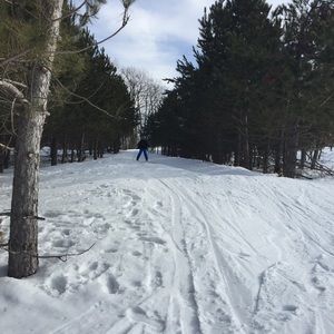 Meet your Posher, Fred