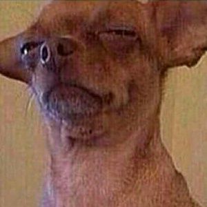 Meet your Posher, Rashonda