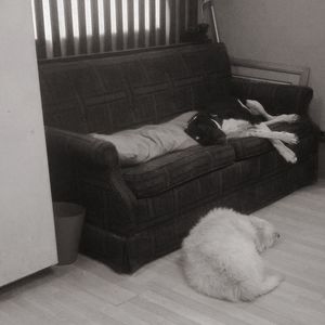 Meet your Posher, Lori