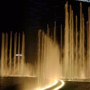 Meet your Posher, Elsie