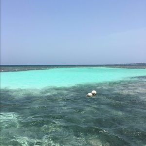 Meet your Posher, Reyna