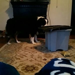 Meet your Posher, Darren