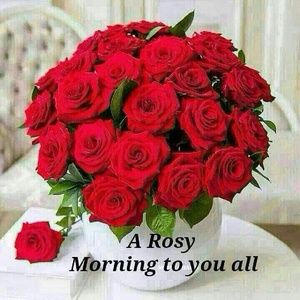 Meet your Posher, Alifya