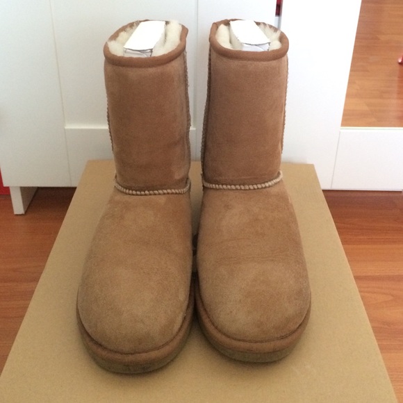 Chestnut Ugg