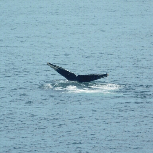 Meet your Posher, Angela - Picture 1 of 1